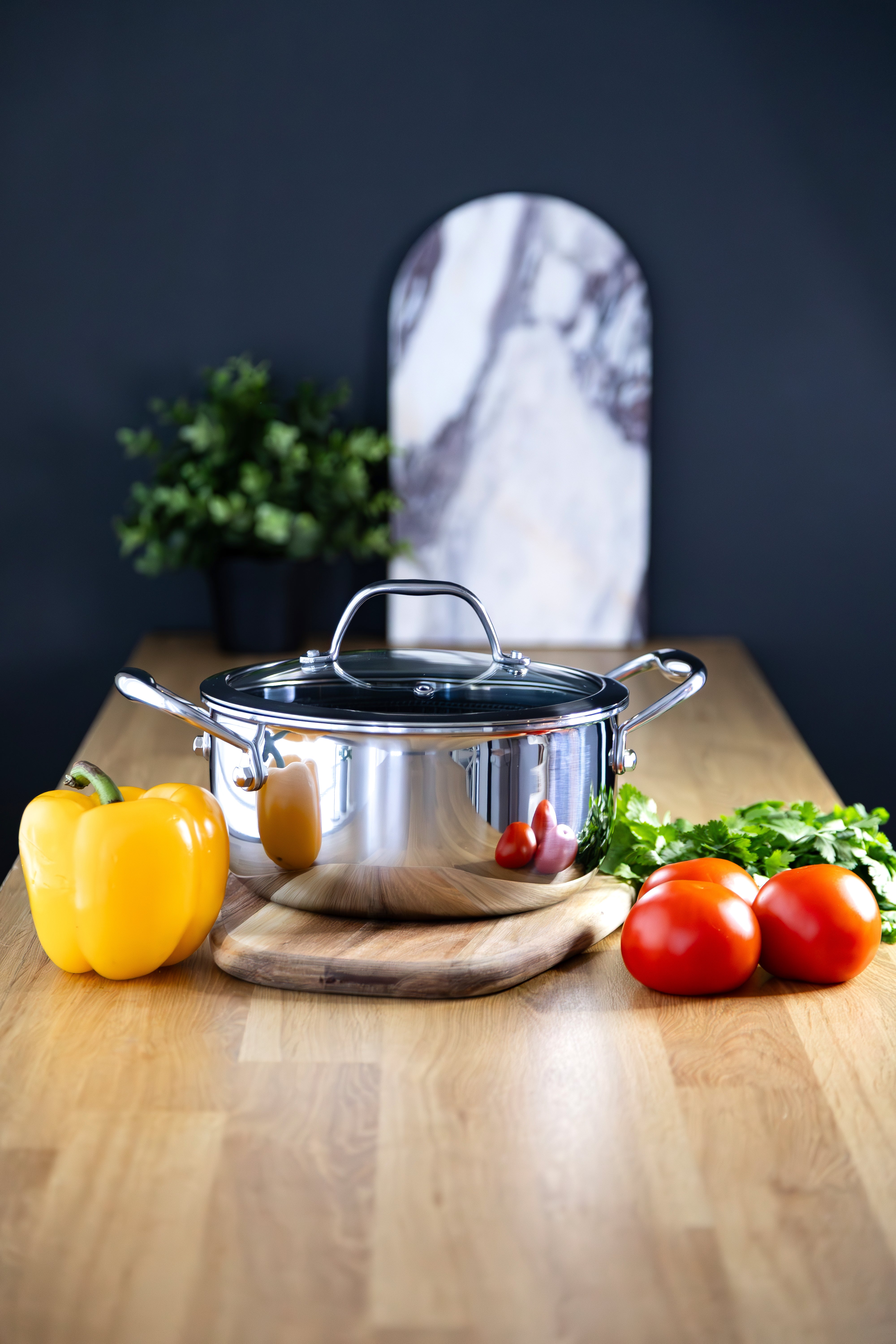 Stálhreiður pottur m/loki 20 cm